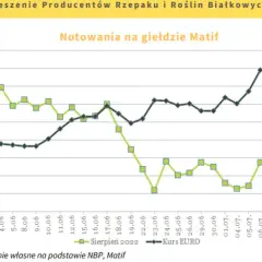 Rzepak w skupie 2026: Jak uzyskać najlepszą cenę?